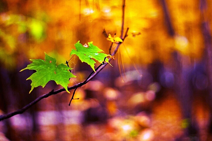 99CEBD3C5D9EF5F20DB129