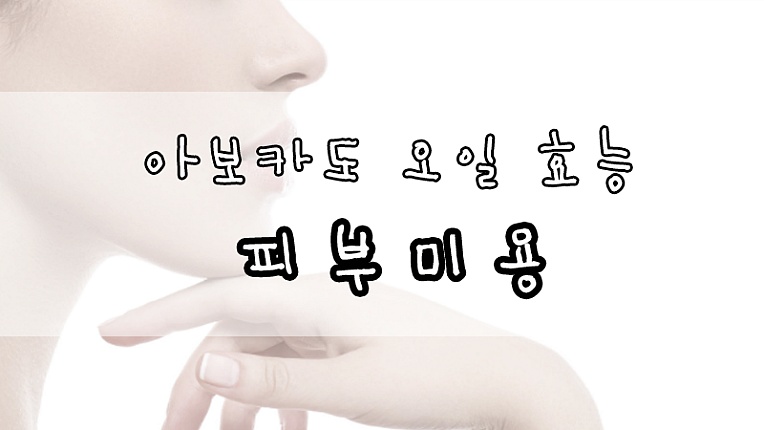요즘 뜨는 아보카도 오일 효능은?