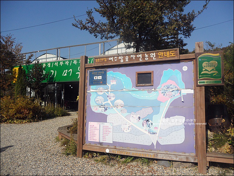 여주가볼만한곳 참숯자연농원에서의 고구마체험