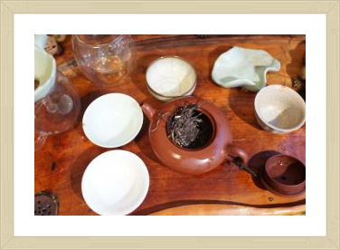 사후세계라는 책