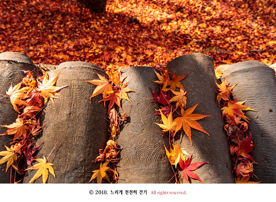마음을 열어 깨달음을 얻는 절 서산 상왕산 개심사~ 