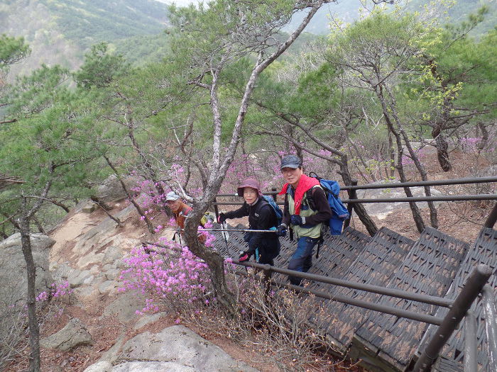 1045- 慶州 南山 고위봉(高位峯:494m)을 다녀왔어요.