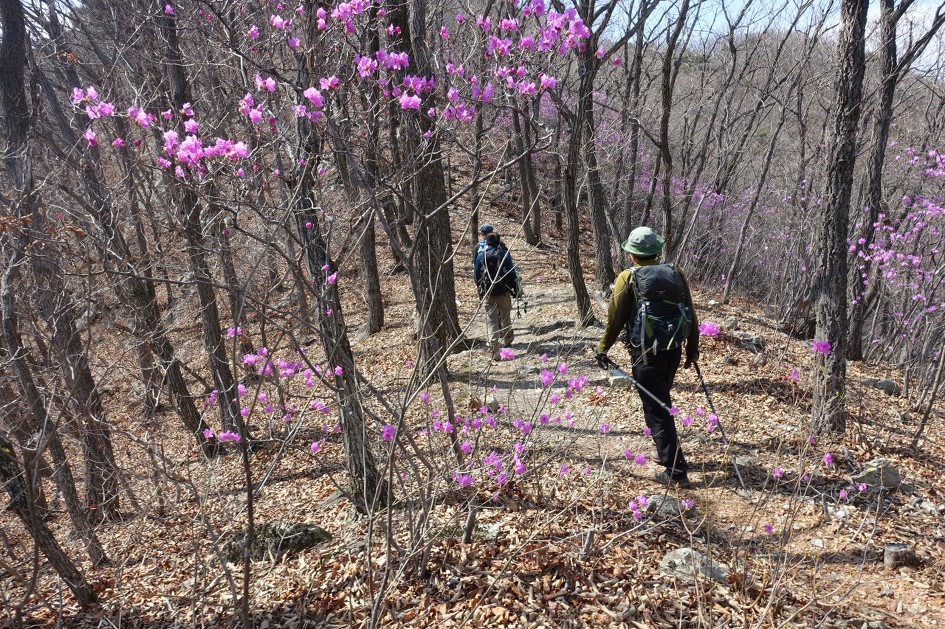 기차 타고 등산