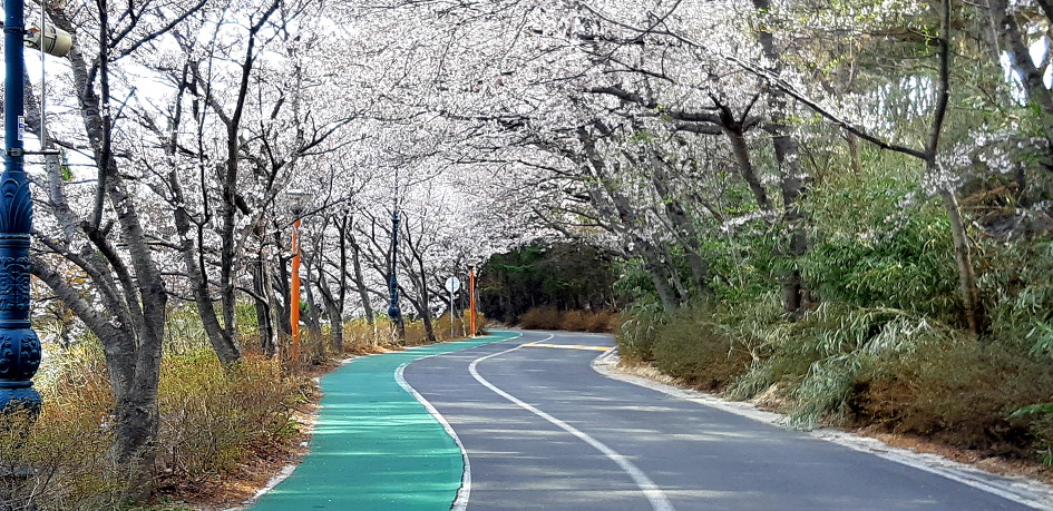 오랜만에 딸네 집으로 마실을 갔습니다.